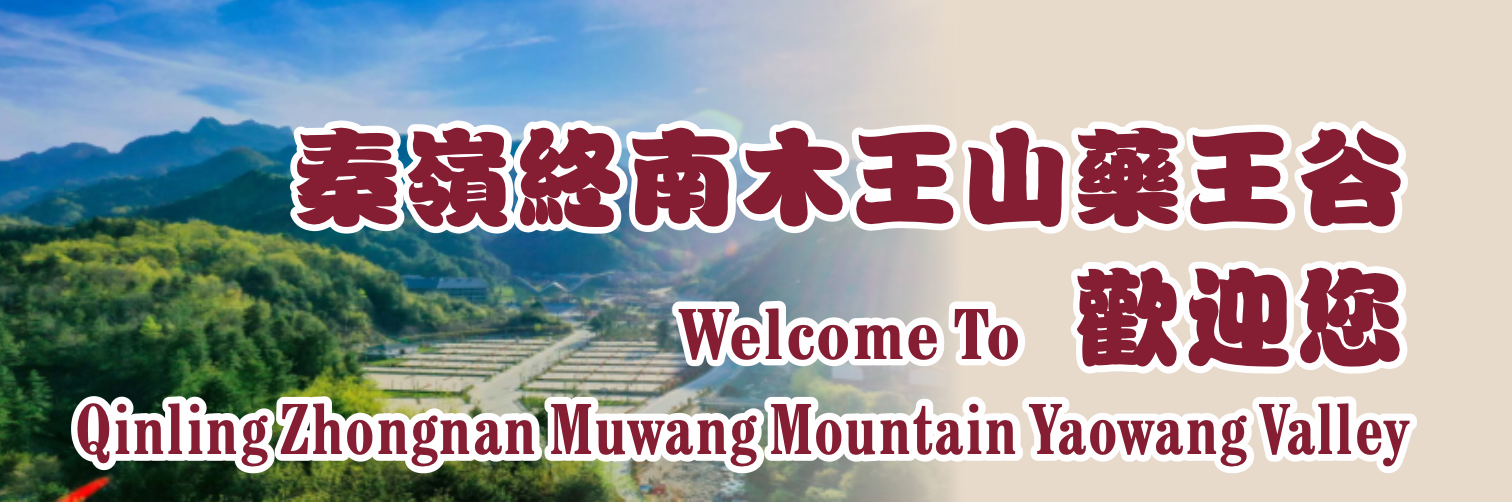 Welcome To Qinling Zhongnan Muwang Mountain Yaowang Valley