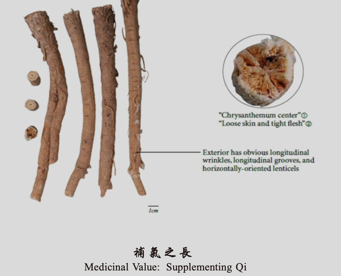 Astragalus-Huang Qi