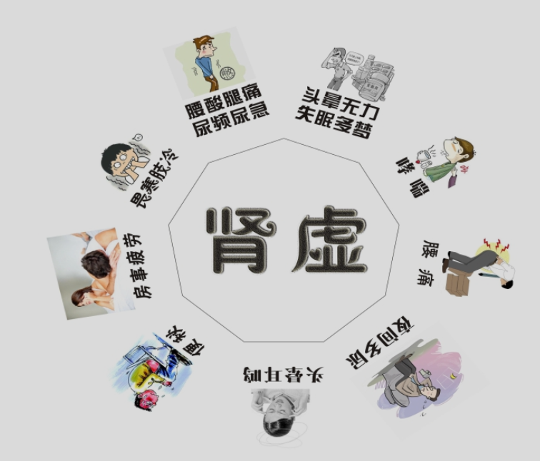 Theoretical Construction of the Male Reproductive Axis of “Kidneys—Tian-gui—Thoroughfare, Controlling, Governing, and Girdling Vessels—Essence Chamber” in Traditional Chinese Medicine