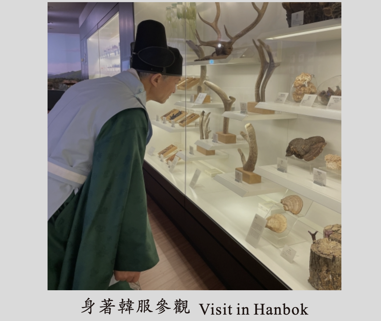 A Glimpse into Korean Medicine