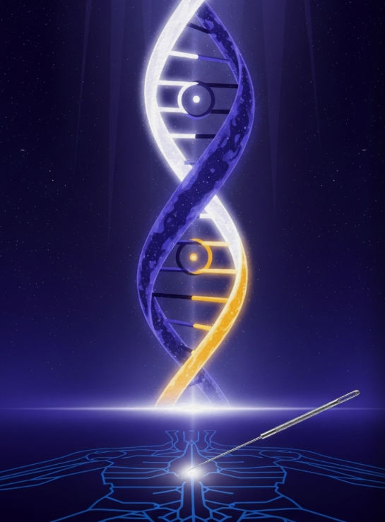ZiWu needling and its double spiral 3-D Taiji theory behind